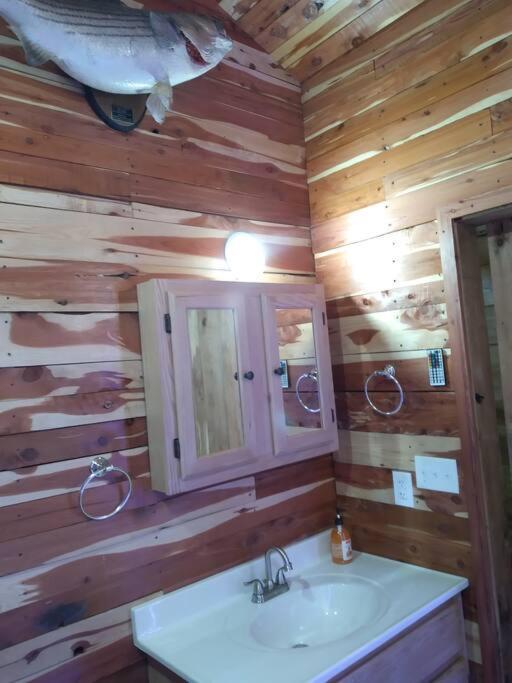 Cabin With A Tree House On A Buffalo Farm . Marshall エクステリア 写真