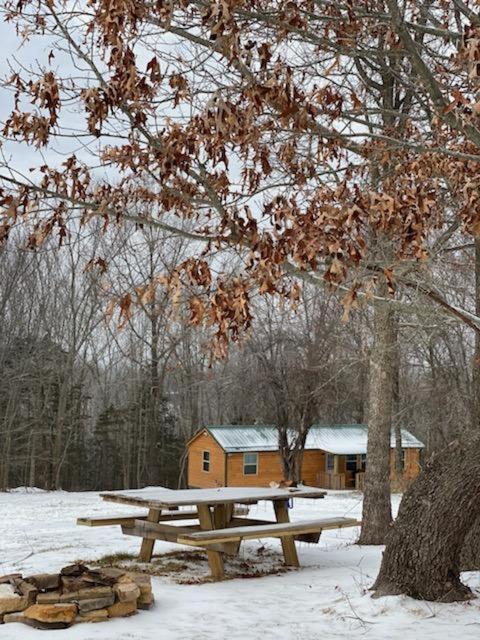 Cabin With A Tree House On A Buffalo Farm . Marshall エクステリア 写真